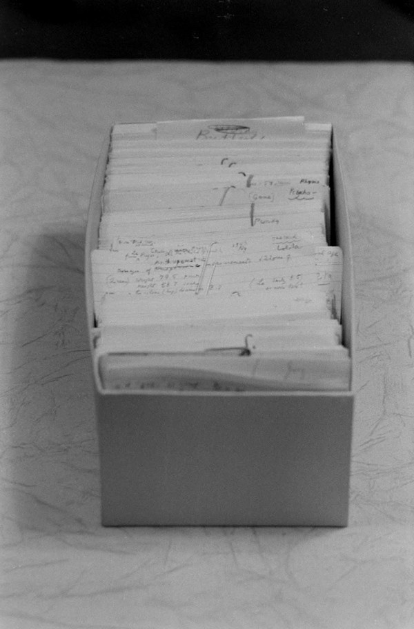 Lolita index cards