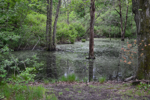 Cold Spring Park