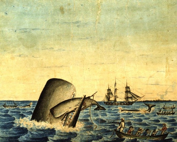 “Whale and Calf,” artist unknown, ca. 1830.
